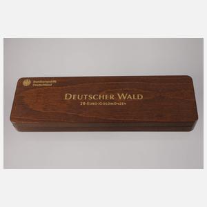 Sechs Goldmünzen Deutscher Wald