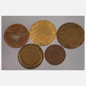 Sieben Medaillen Reitsport