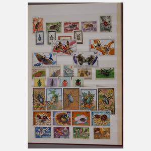 Große Briefmarkensammlung Welt