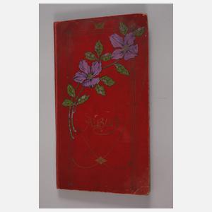 Ansichtskartenalbum Plauen und Vogtland