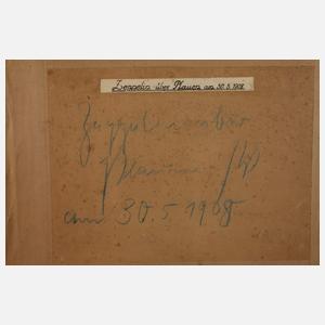 Foto Zeppelin über Plauen