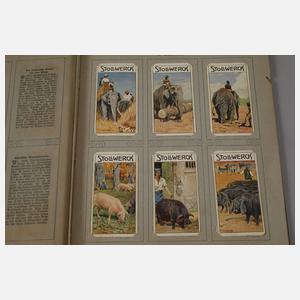 Drei Alben Kaufmannsbilder