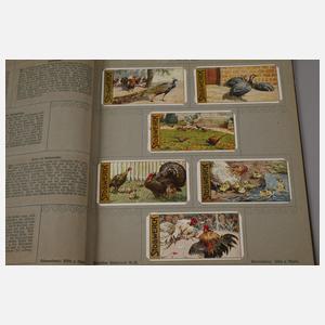 Drei Alben Kaufmannsbilder