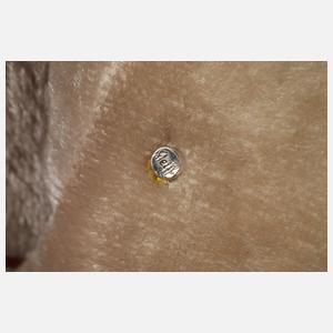 Steiff Reittier als Elefant