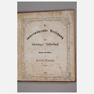 Frühes Spielbilderbuch