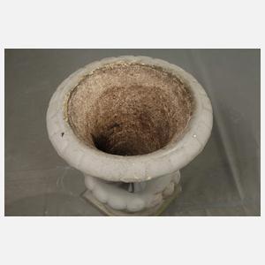 Große Pflanzamphore