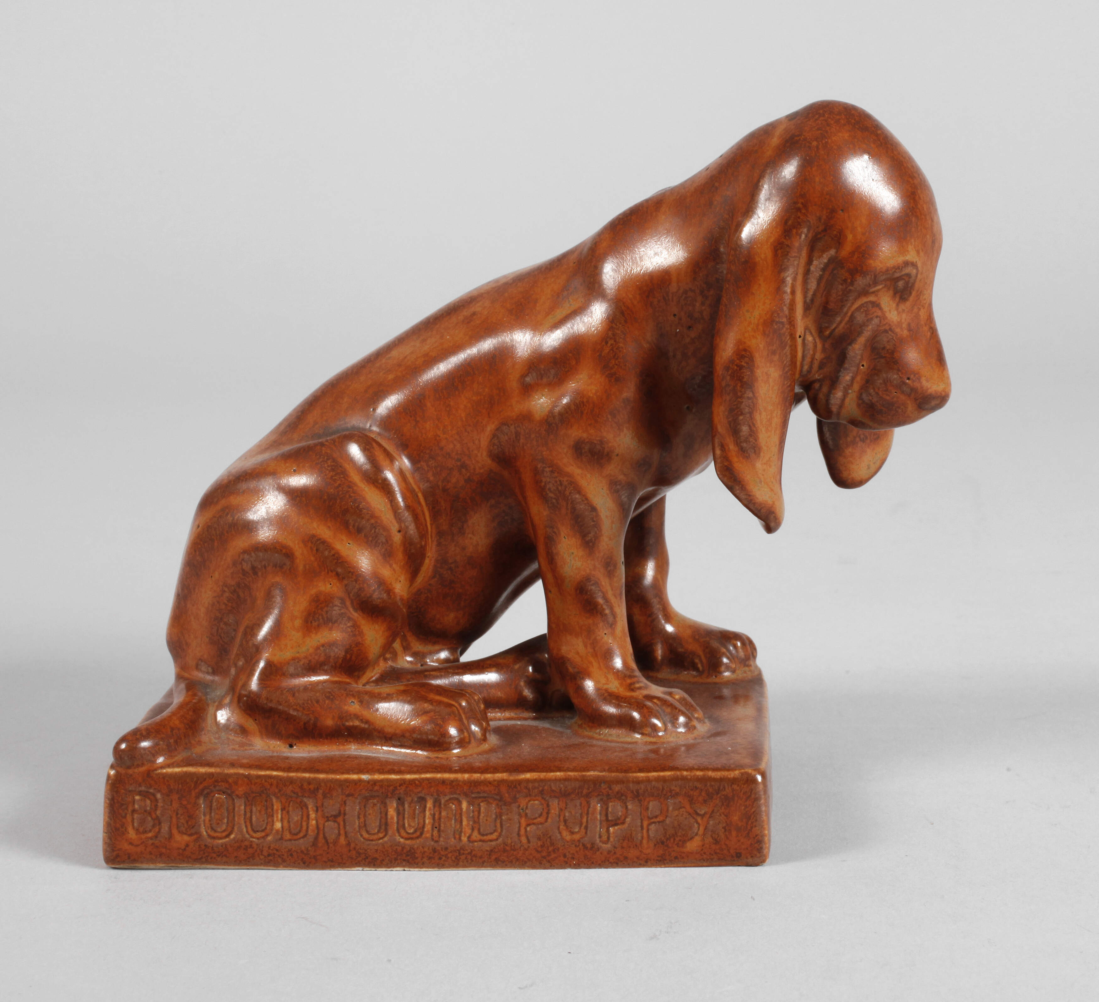 Julius Scharvogel ”Bloodhound Puppy”