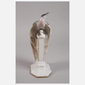 Fraureuth ”Paradiesvogel”