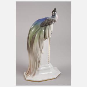 Fraureuth ”Paradiesvogel”