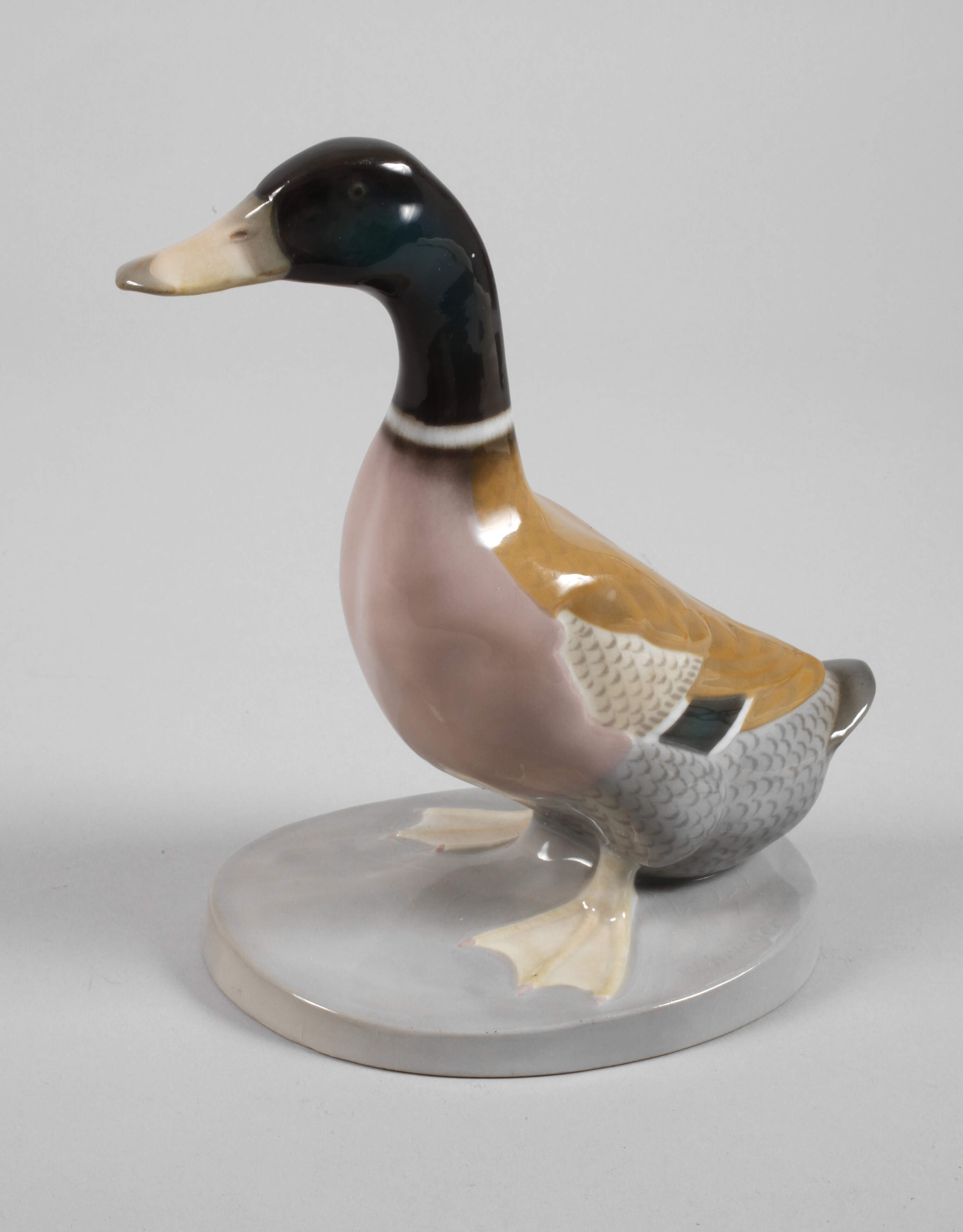 Heubach Lichte Stockente