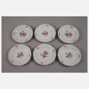 Meissen sechs Teegedecke + Zuckerdose "Rote Rose"