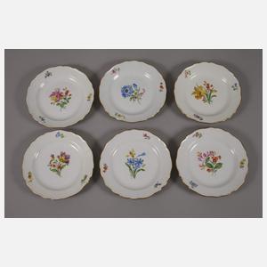 Meissen Teeservice "Blume 2"