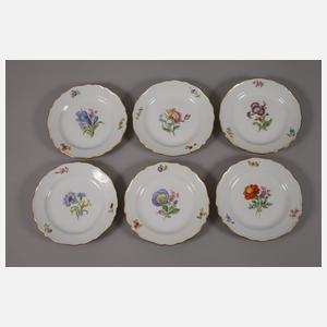 Meissen Teeservice "Blume 2"