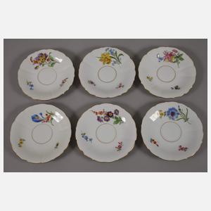 Meissen Teeservice "Blume 2"