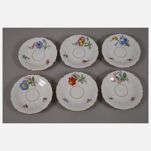 Meissen Teeservice "Blume 2"