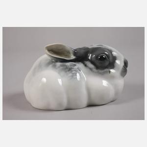 Rosenthal hockender Hase