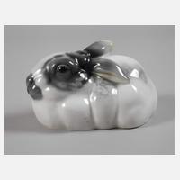 Rosenthal hockender Hase111
