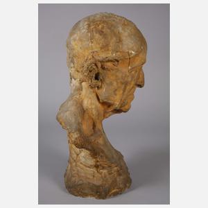 Portraitbüste alter Mann