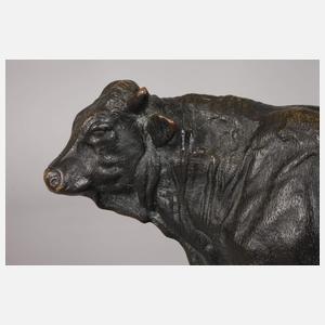 Imposanter stehender Stier