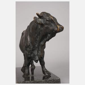 Imposanter stehender Stier