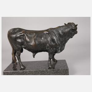 Imposanter stehender Stier