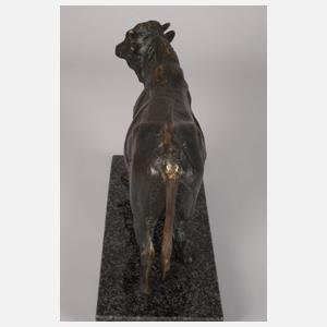 Imposanter stehender Stier