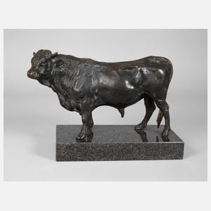 Imposanter stehender Stier