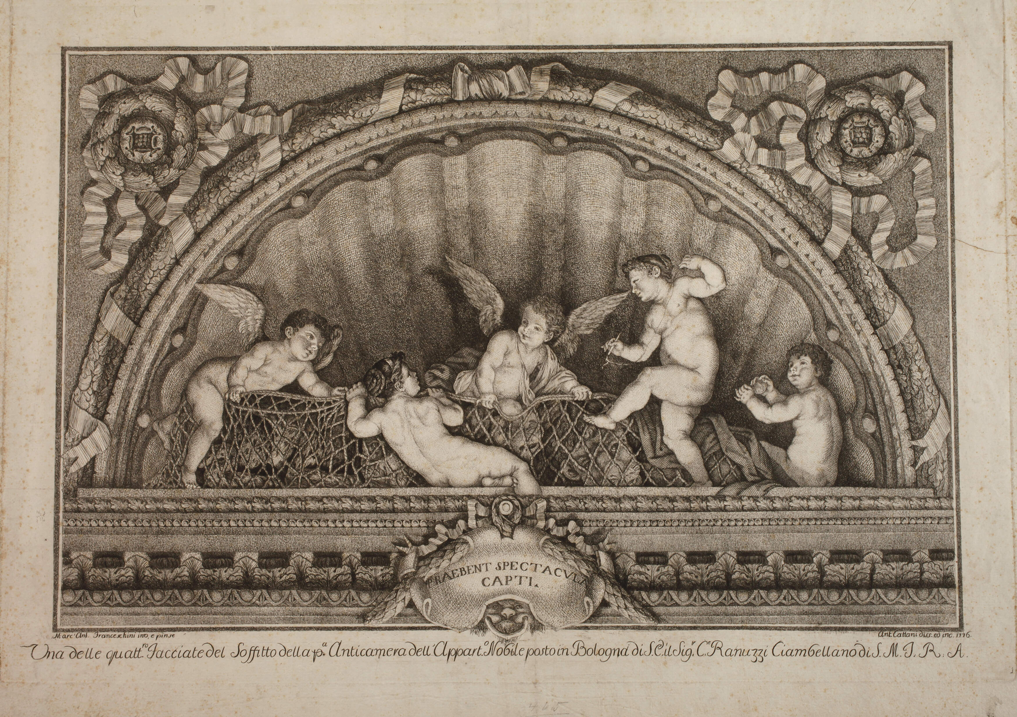 Antonio Cattani, Im Netz