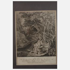 Johann Elias Ridinger, Paar Jagddarstellungen