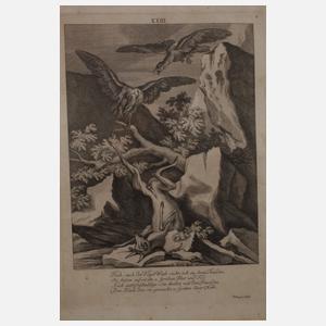 Johann Elias Ridinger, Paar Jagddarstellungen