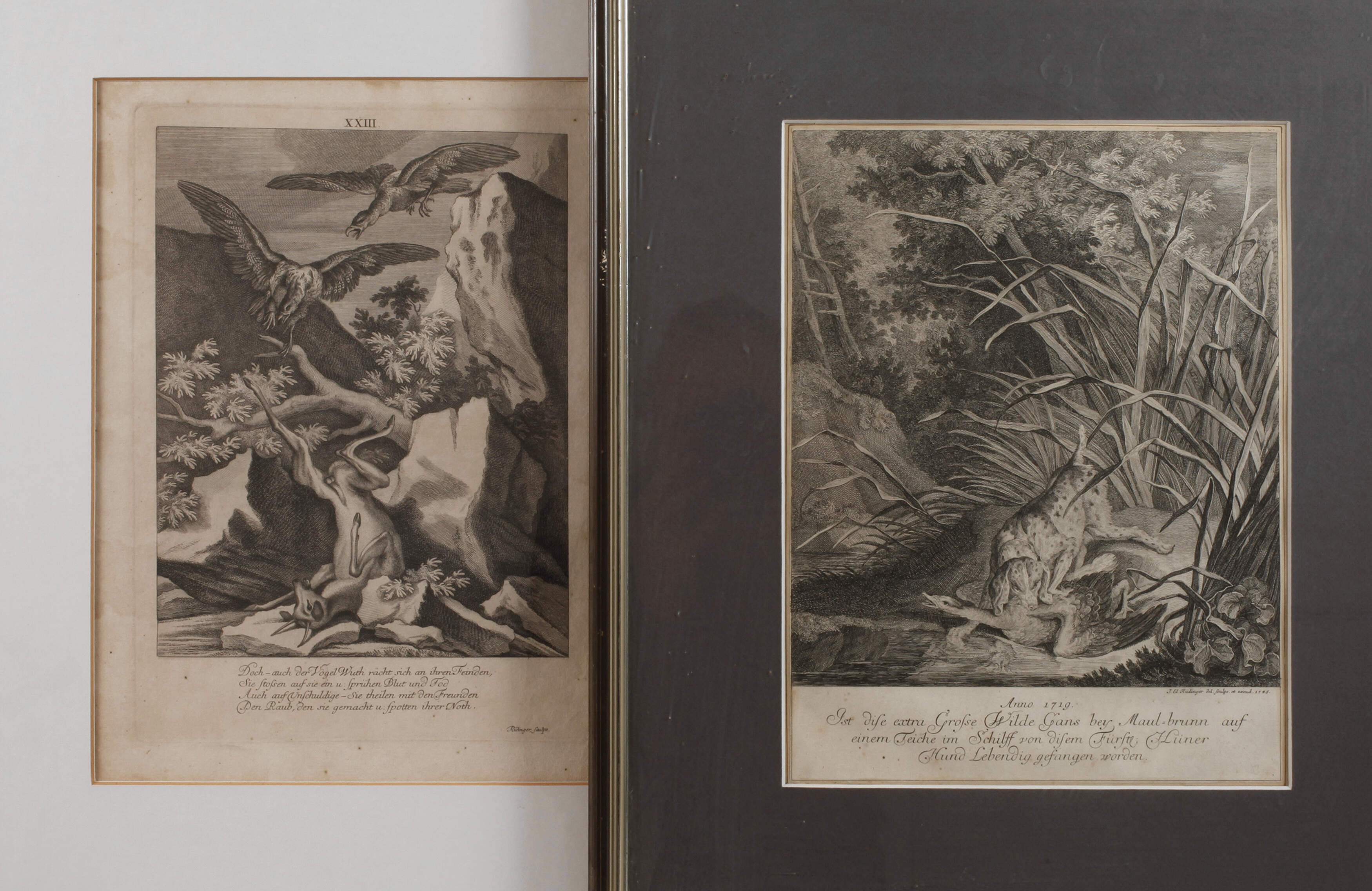 Johann Elias Ridinger, Paar Jagddarstellungen