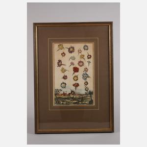 Blatt aus den Nürnberger Hesperiden