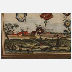 Blatt aus den Nürnberger Hesperiden