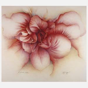 Wolfgang Fratscher "Rogáceae"