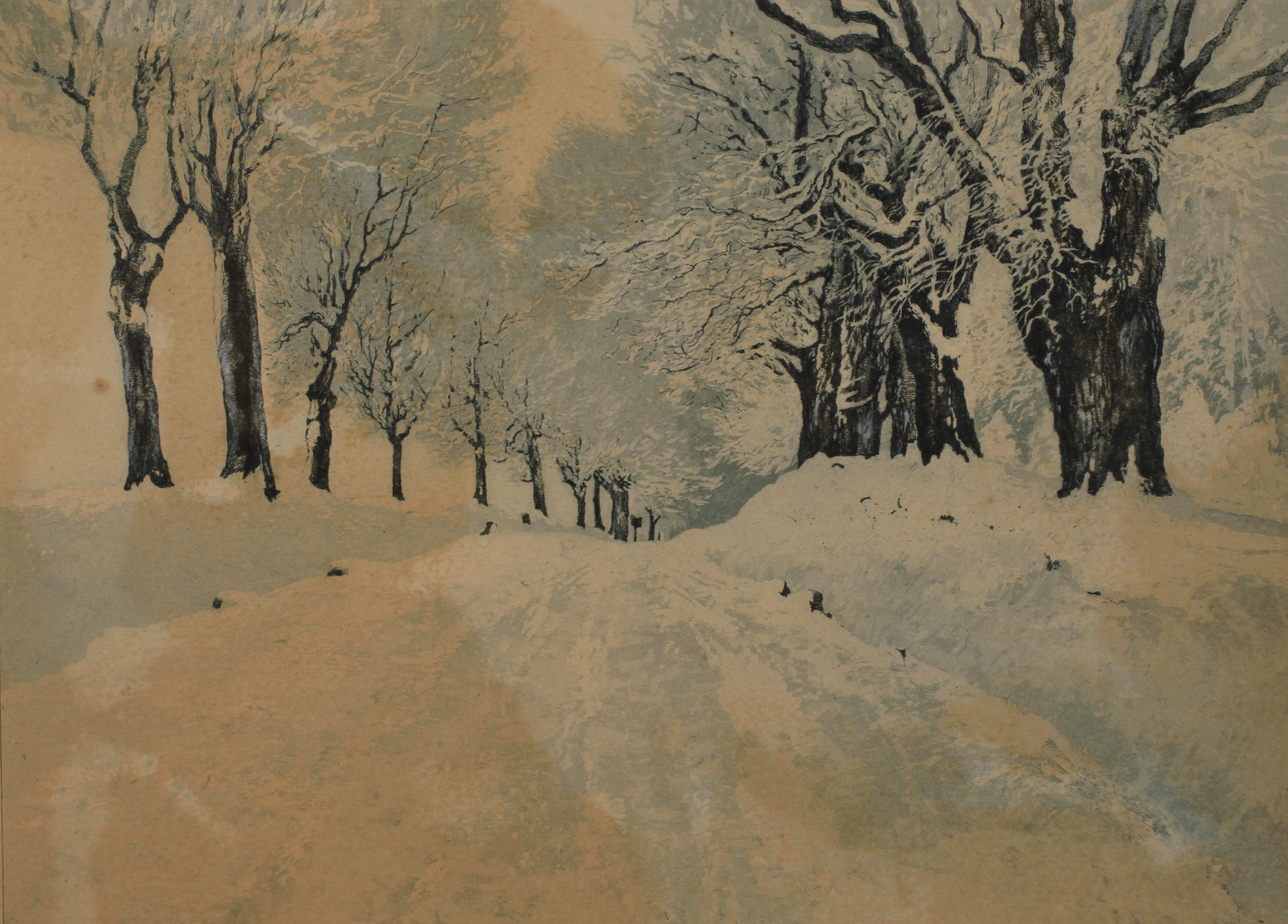 Friedrich Iwan, "Allee bei Landeshut"