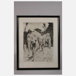 Curt Meyer-Eberhardt, Zwei Elefanten