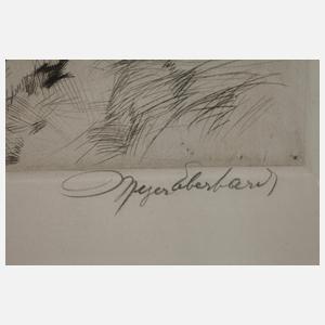 Curt Meyer-Eberhardt, Zwei Elefanten