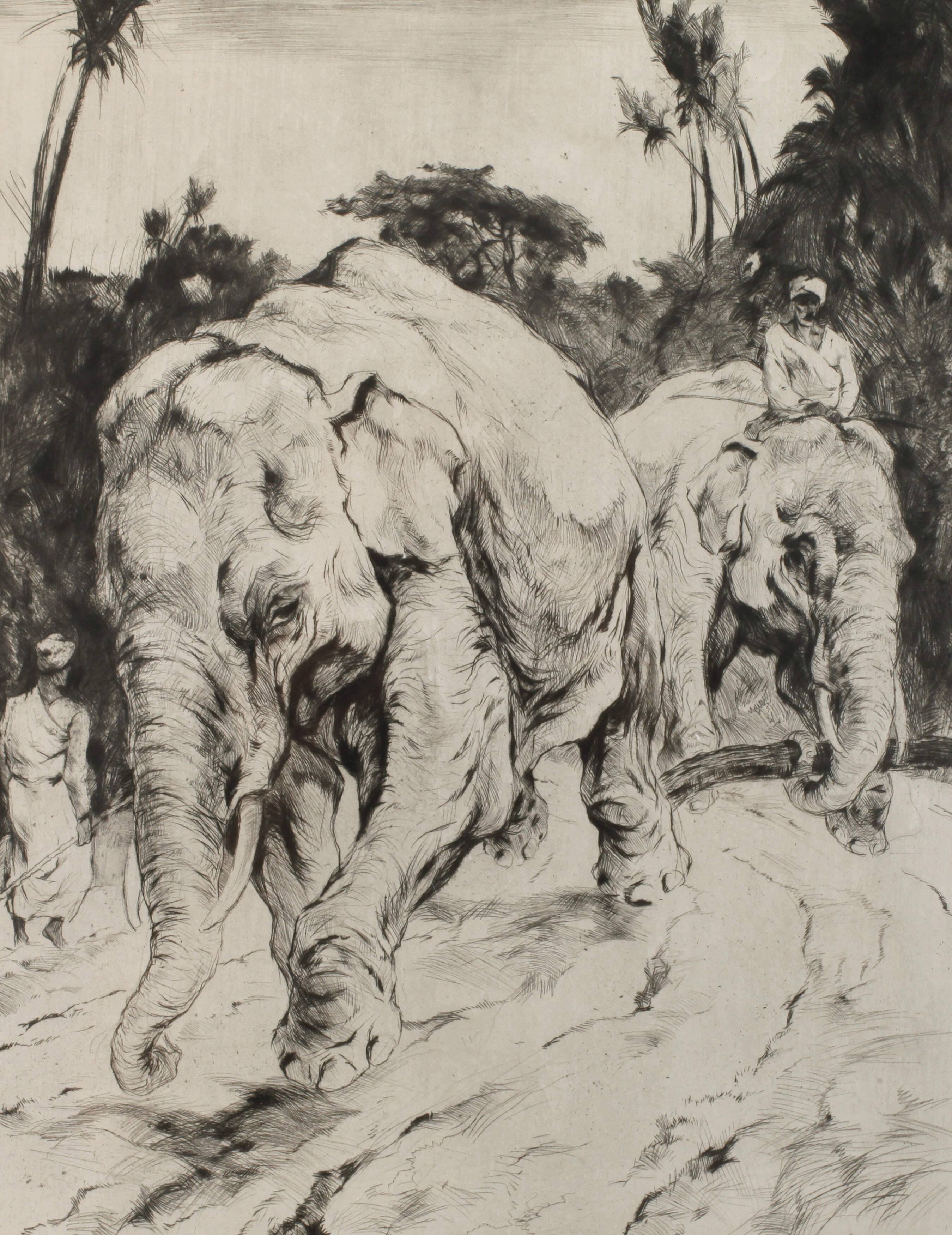 Curt Meyer-Eberhardt, Zwei Elefanten