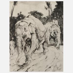 Curt Meyer-Eberhardt, Zwei Elefanten