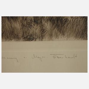 Curt Meyer-Eberhardt, Rehbock im Wald