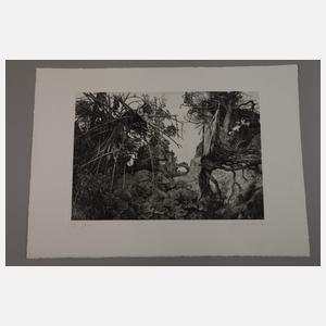 Prof. Gerenot Richter, "Gleichnis"