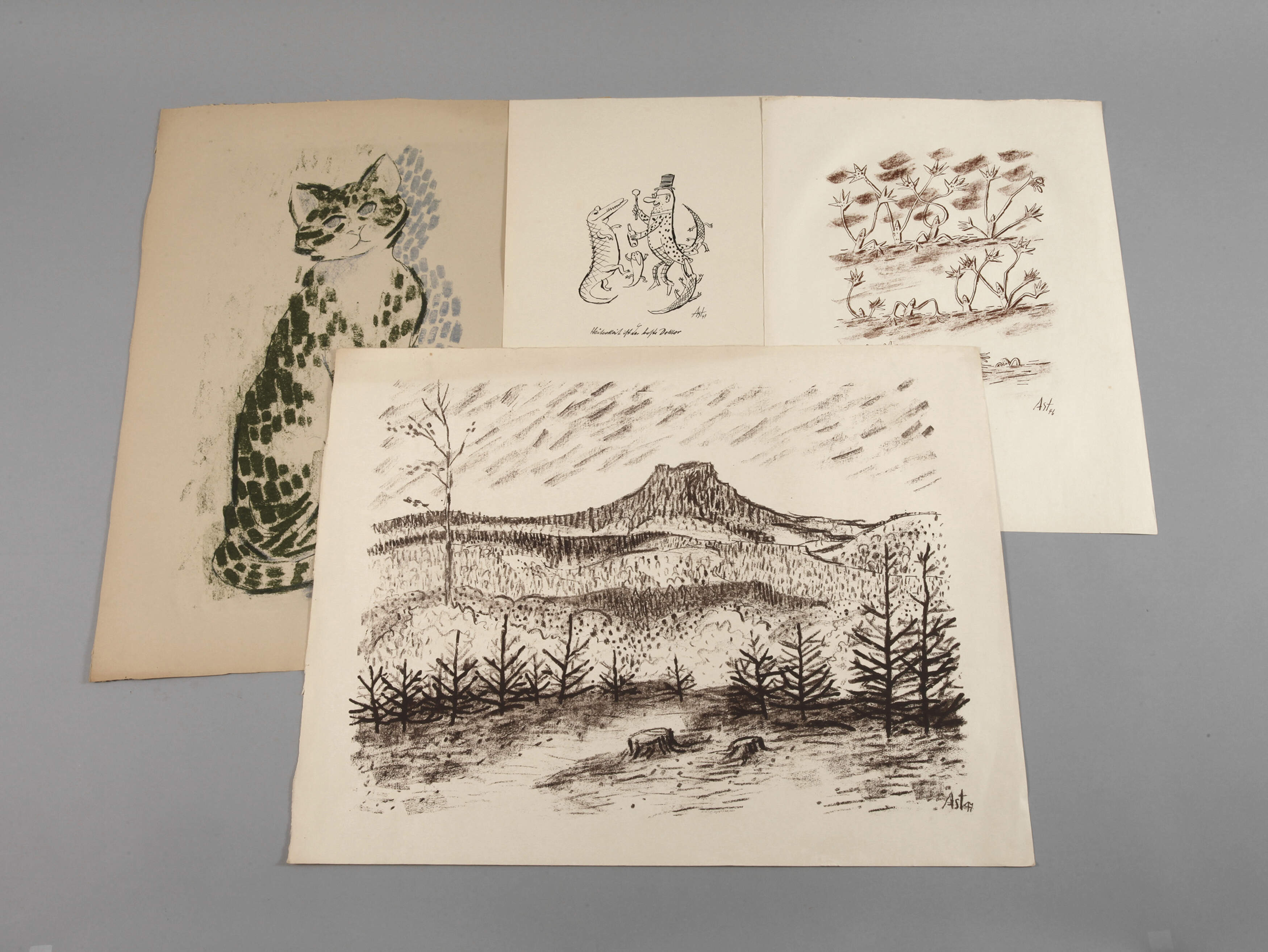 Prof. Albert Schaefer-Ast, Graphikkonvolut