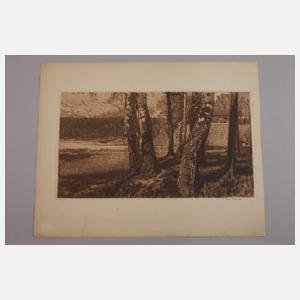 Leon Schnell, "Birkenstämme"