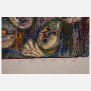 Esteban Fekete, Frankfurt am Main