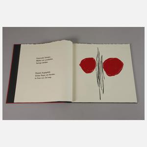 Konrad Schmid und Ingo Cesaro, "Den Himmel teilen"