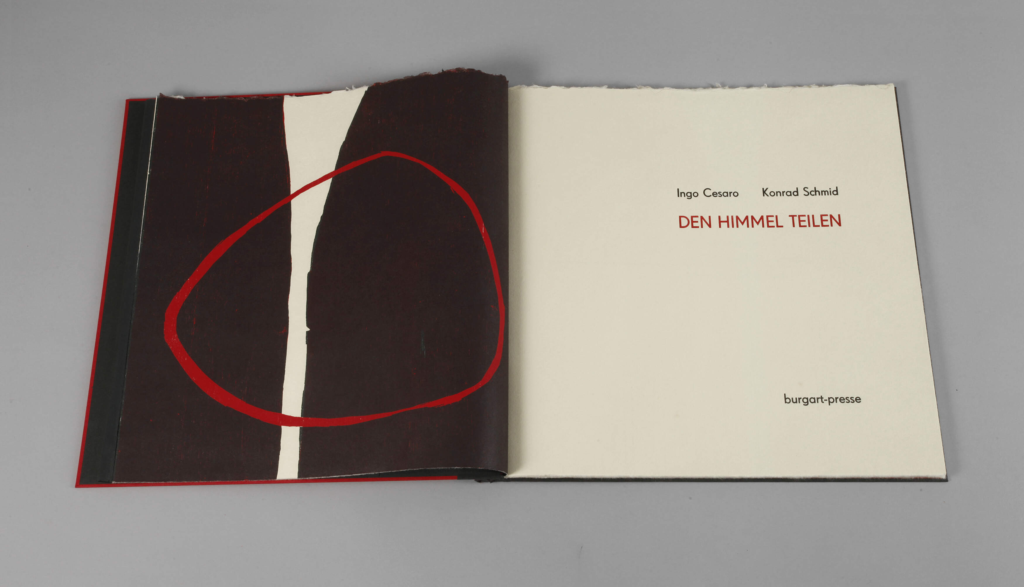 Konrad Schmid und Ingo Cesaro, "Den Himmel teilen"