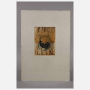 Graphikfolge mit fünf Farbradierungen