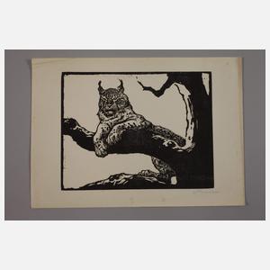 Prof. Walther Klemm, Luchs