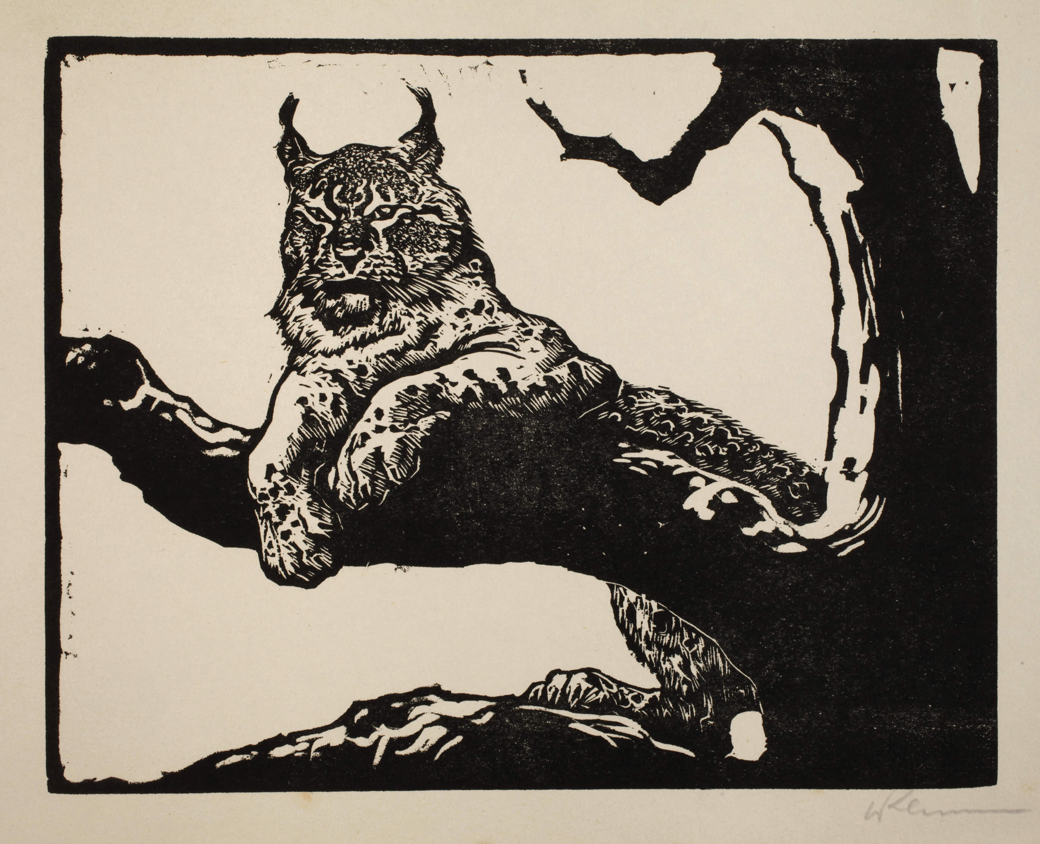 Prof. Walther Klemm, Luchs