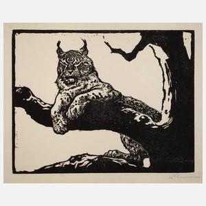 Prof. Walther Klemm, Luchs